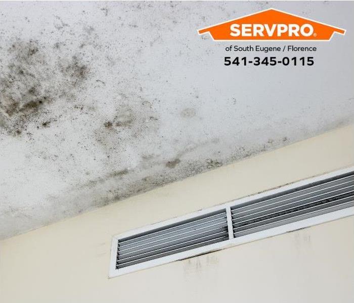Mold grows on a ceiling.