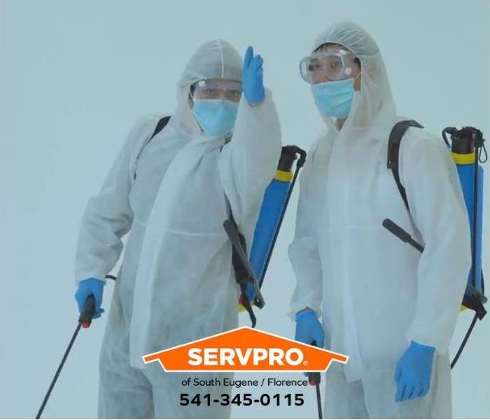 Technicians are in the process of removing mold in a commercial business.