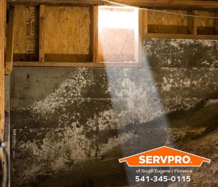 Should I Have a Professional Crawl Space Inspection in Eugene?