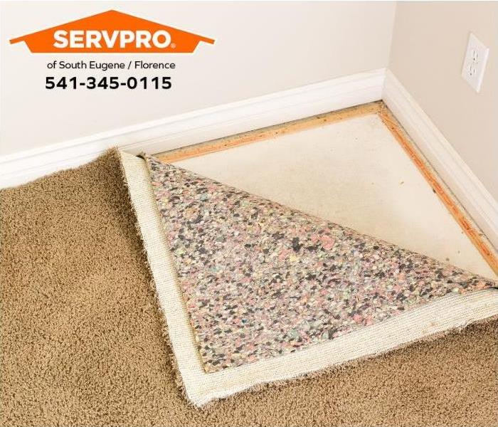 The carpet and carpet pad are pulled up to inspect for mold growth.